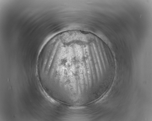 X0000061111296200512022115