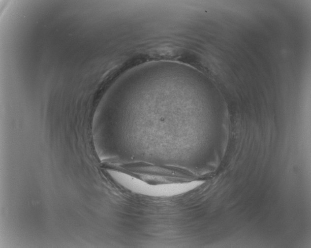 X0000061111297200512022114