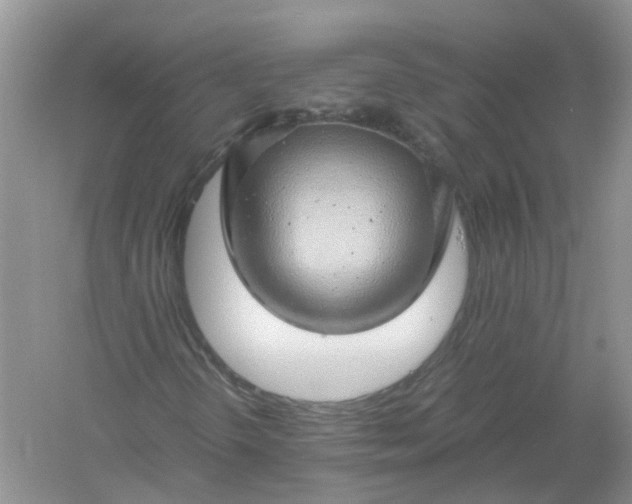 X0000061111298200512022114