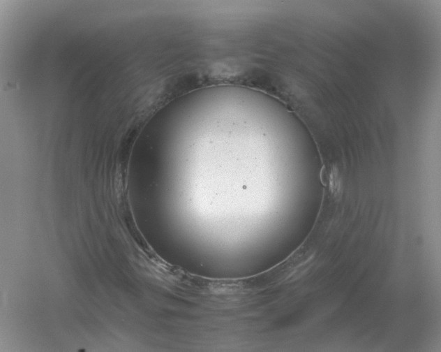 X0000061111299200512022115