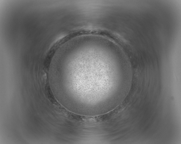 X0000061111302200512022115