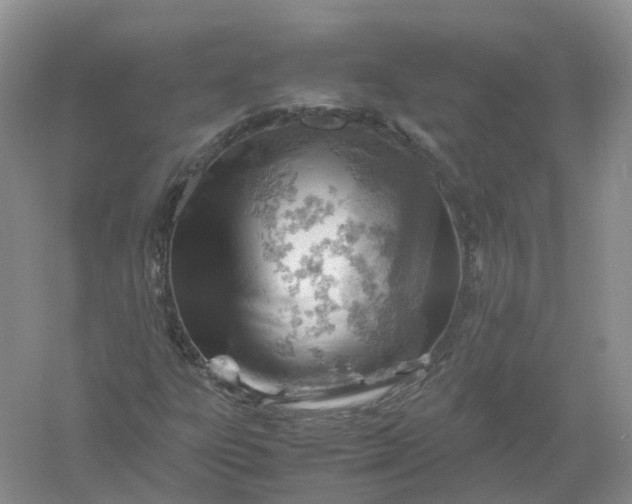 X0000061111303200512022115