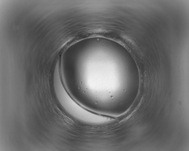 X0000061111305200512022115