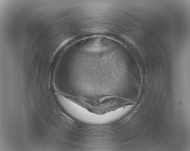 X0000061111306200512022115