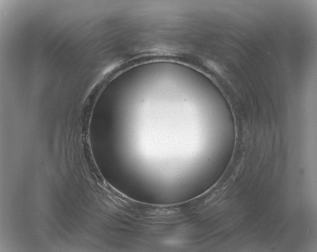 X0000061111307200512022115