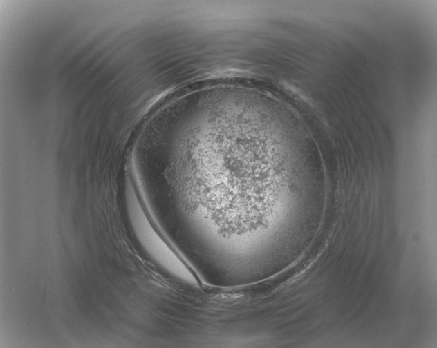 X0000061111313200512022115