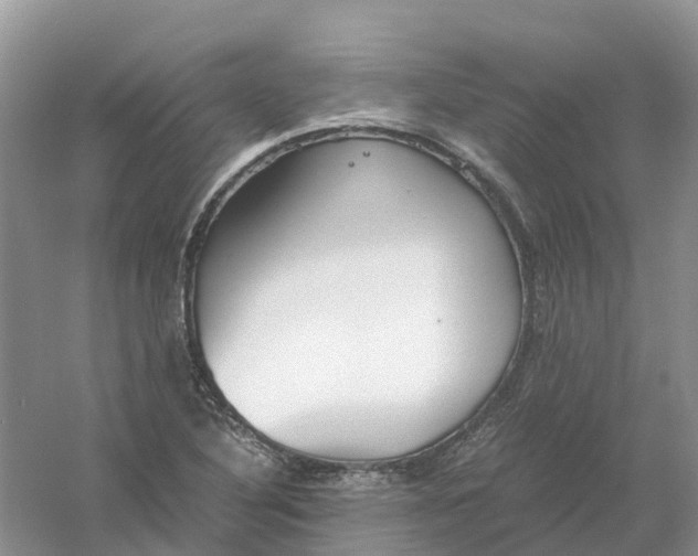 X0000061111316200512022115