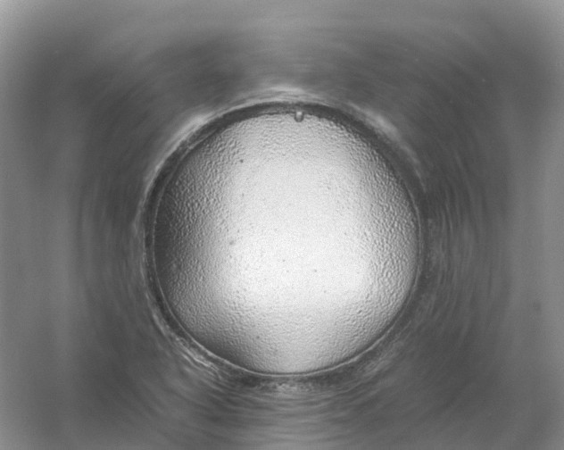 X0000061111318200512022115