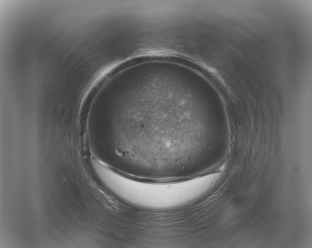 X0000061111319200512022115