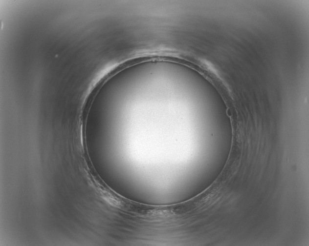 X0000061111320200512022115