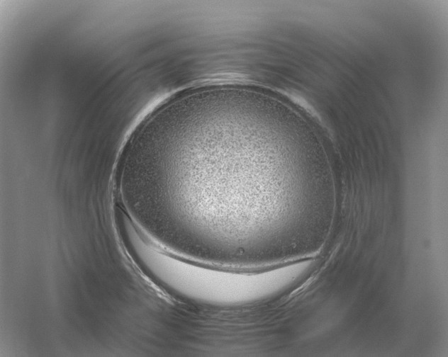 X0000061111325200512022115