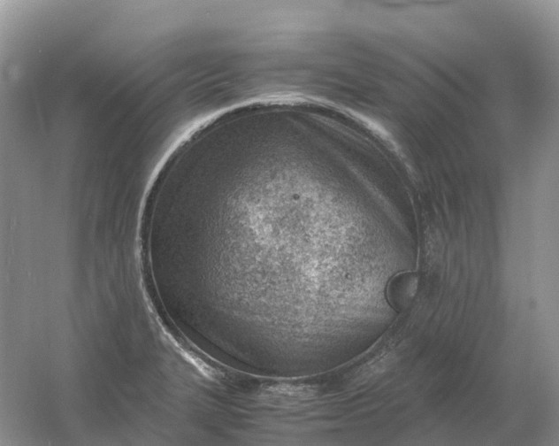 X0000061111327200512022115