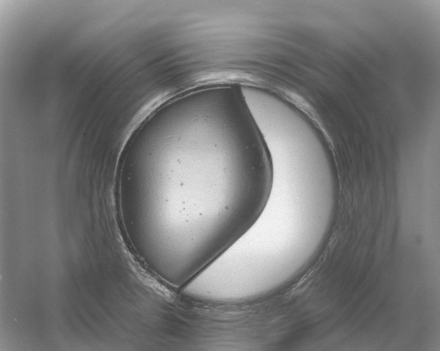 X0000061111330200512022115