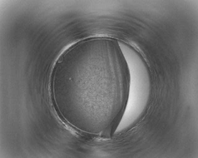 X0000061111331200512022115