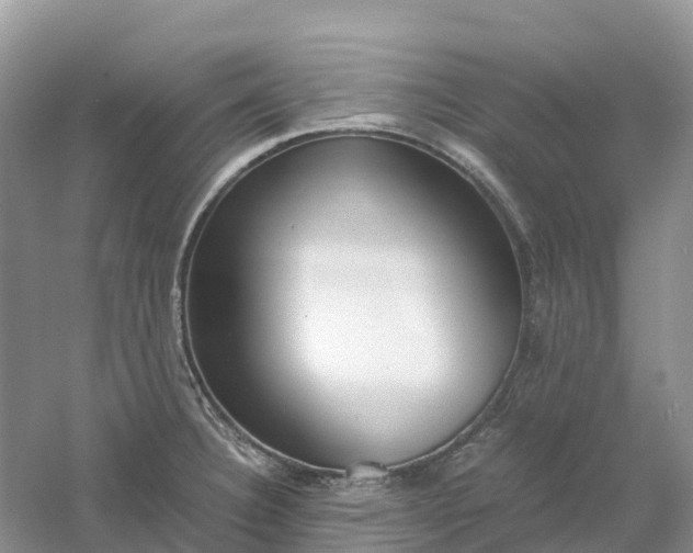 X0000061111332200512022115