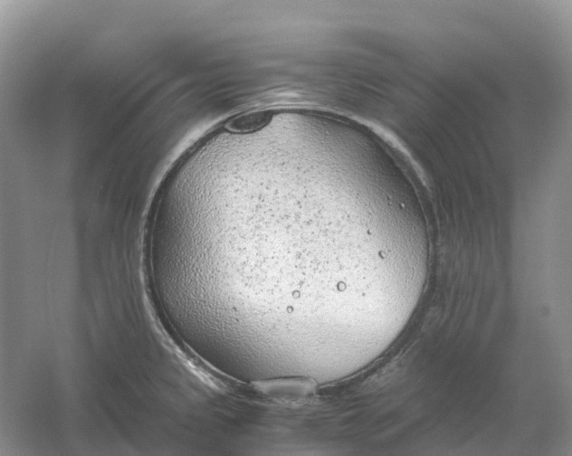 X0000061111333200512022115