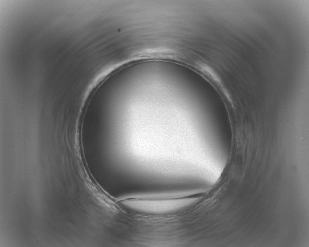 X0000061111336200512022115