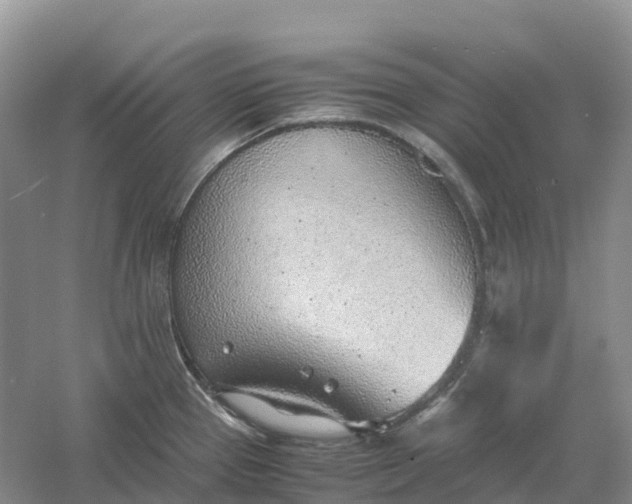 X0000061111337200512022115