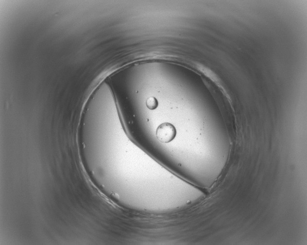 X0000061111338200512022115