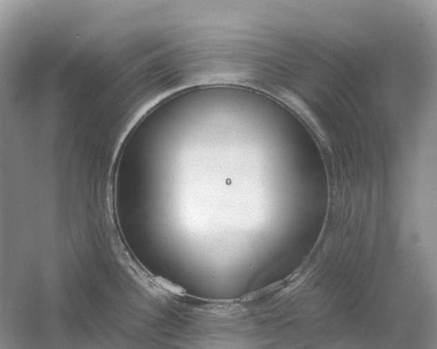 X0000061111340200512022115