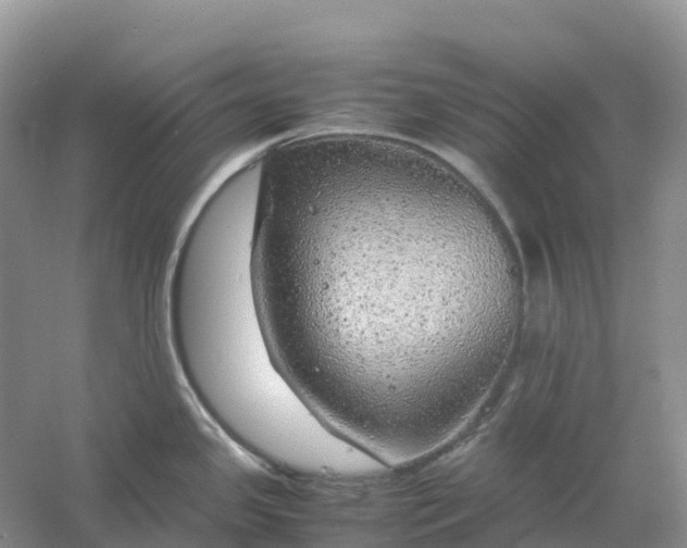 X0000061111341200512022115