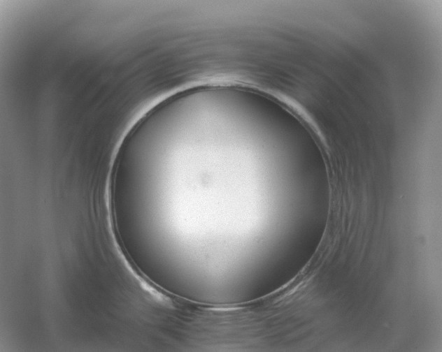 X0000061111343200512022115