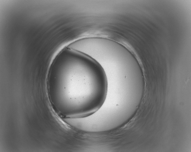 X0000061111344200512022115