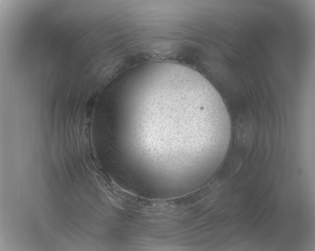 X0000061111346200512022114