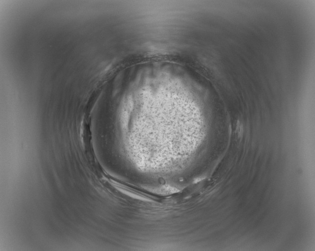 X0000061111348200512022114