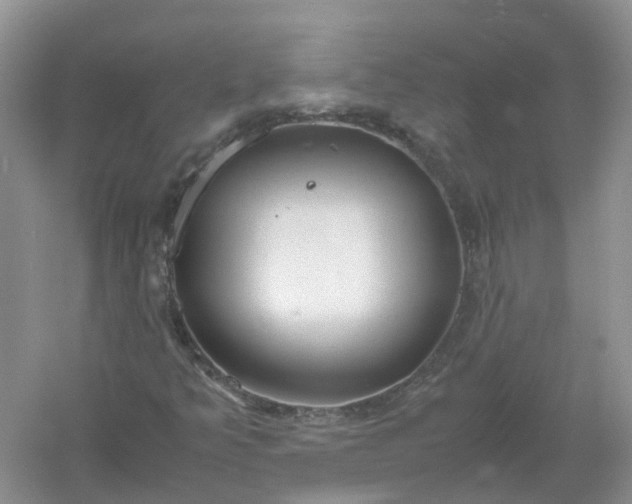 X0000061111349200512022114