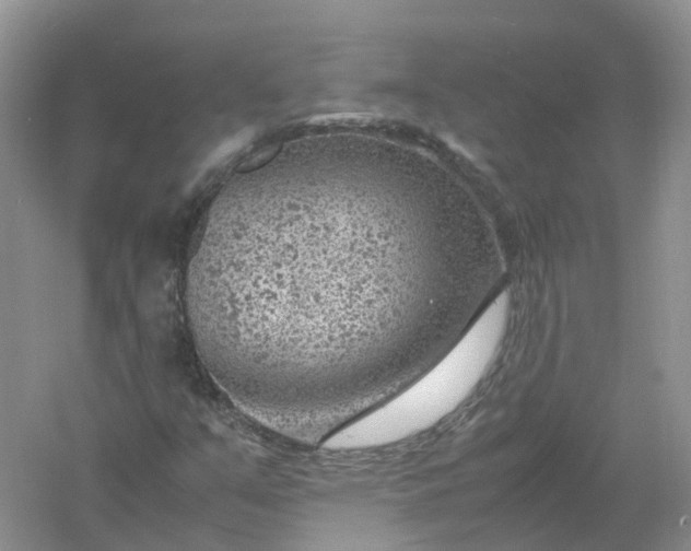 X0000061111351200512022114