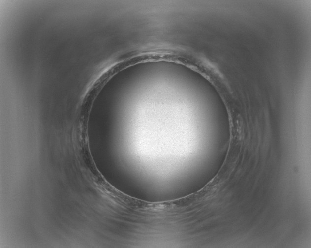 X0000061111352200512022114