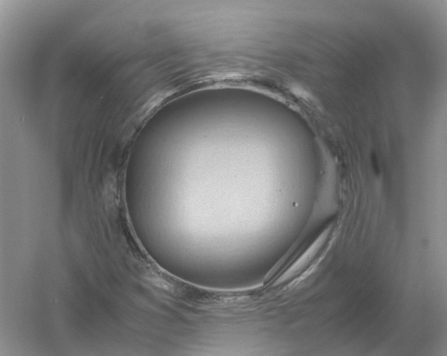 X0000061111353200512022114