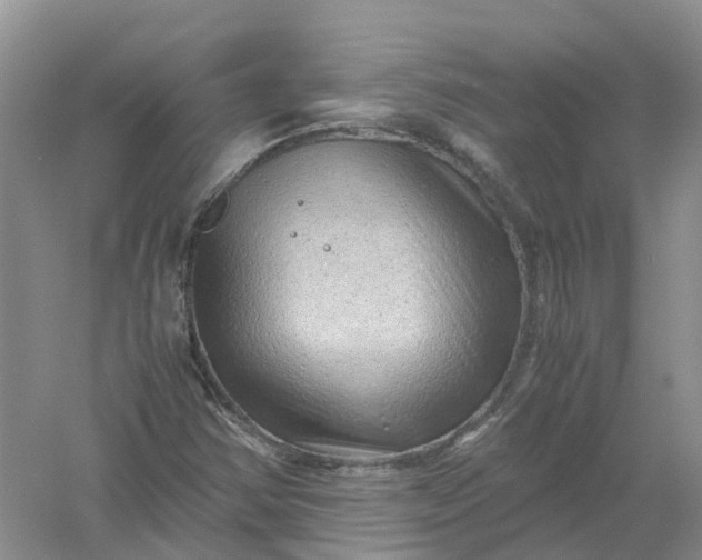 X0000061111354200512022114