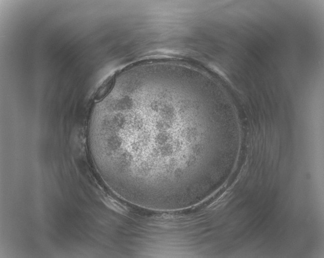 X0000061111355200512022114