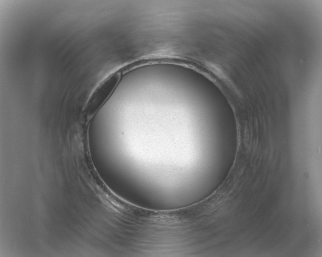 X0000061111356200512022114