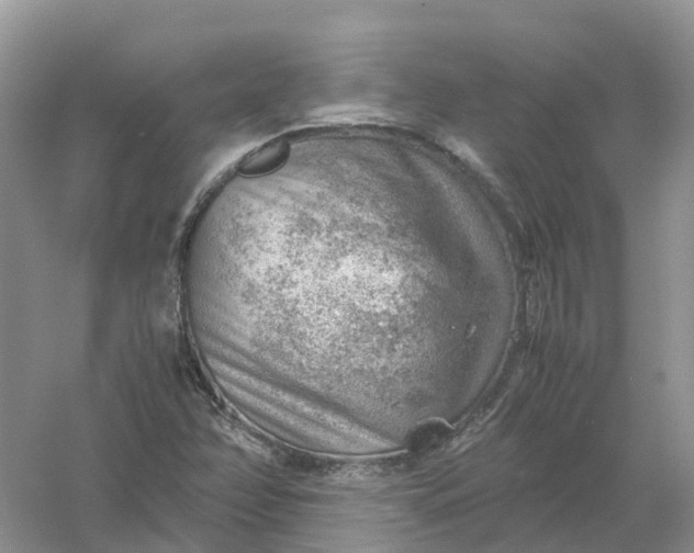 X0000061111358200512022114