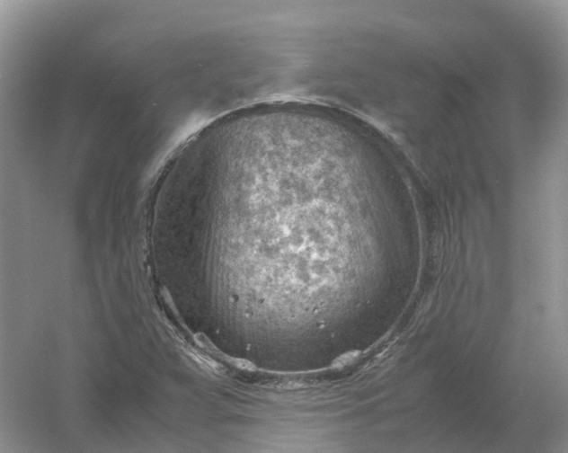 X0000061111359200512022114