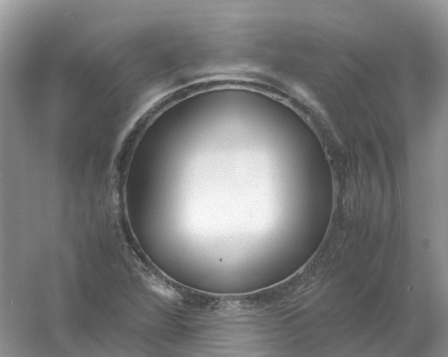 X0000061111360200512022114