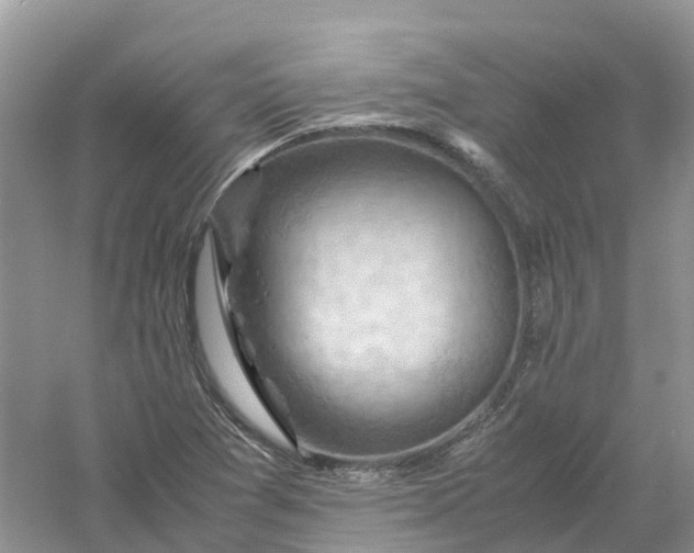 X0000061111361200512022114