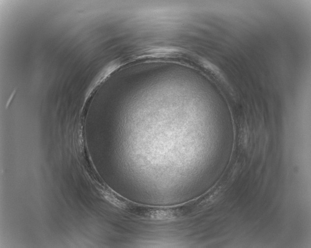 X0000061111362200512022114