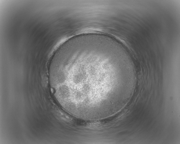 X0000061111363200512022114