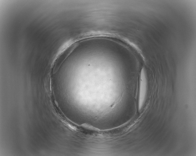 X0000061111365200512022114