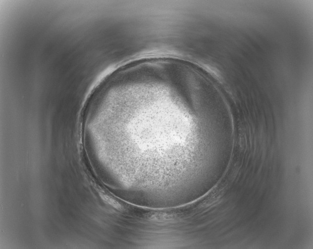 X0000061111366200512022114