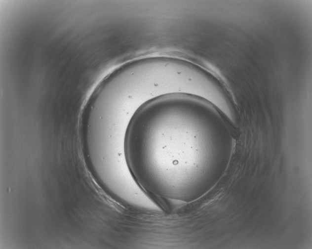 X0000061111368200512022114