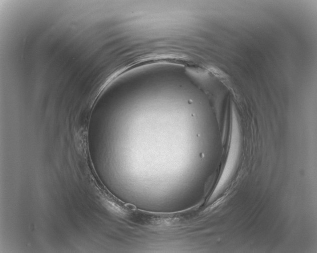 X0000061111369200512022114