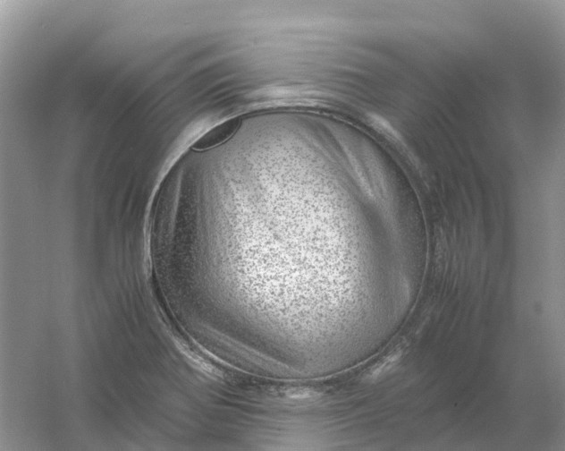 X0000061111370200512022114