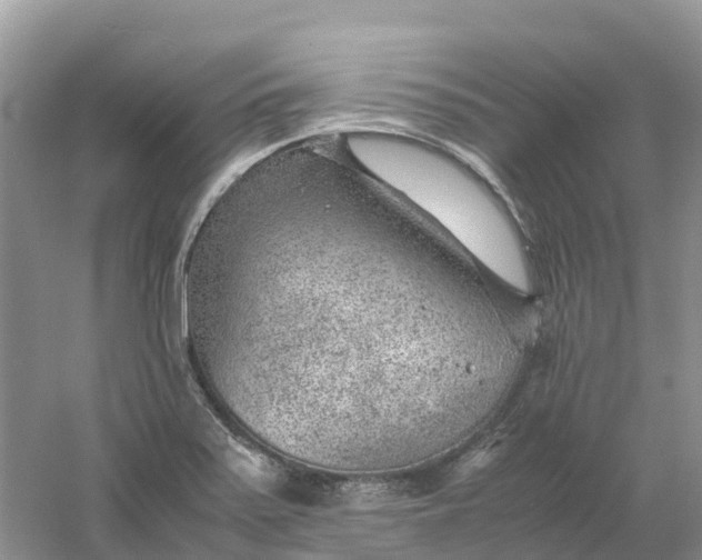 X0000061111371200512022114