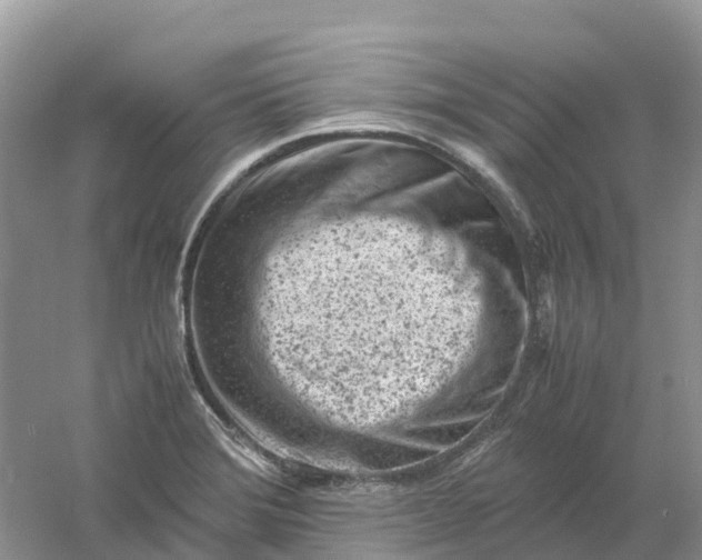 X0000061111372200512022114