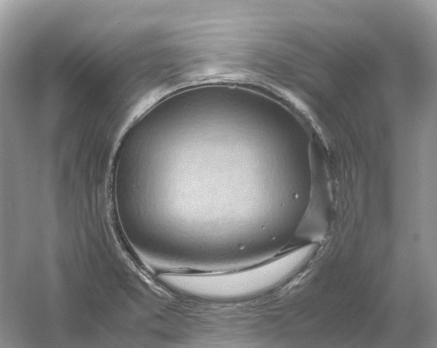 X0000061111373200512022114